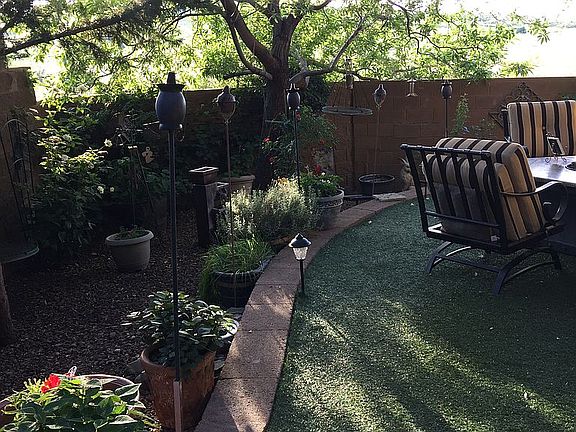 Backyard 3