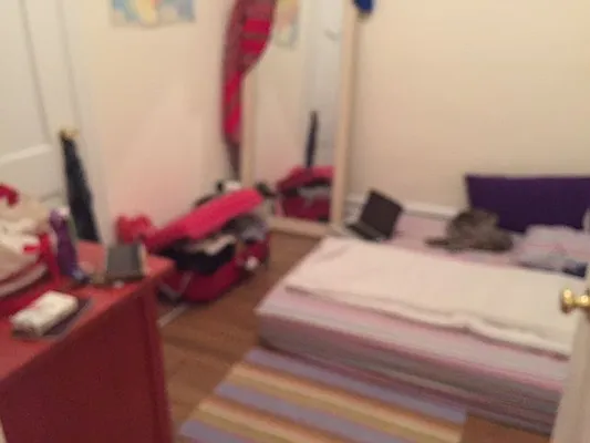 Rented by Yorgan Group, LLC | media 19