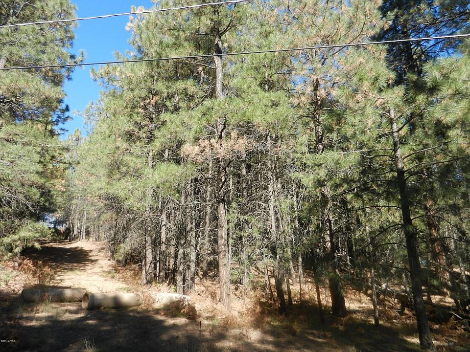 743 Trout Springs - DSCN1957[1]