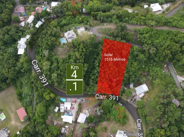 10 State Highway 391 3.7 Lot 10 #Km, Penuelas, PR 00624