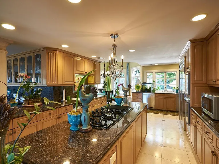 Gourmet kitchen