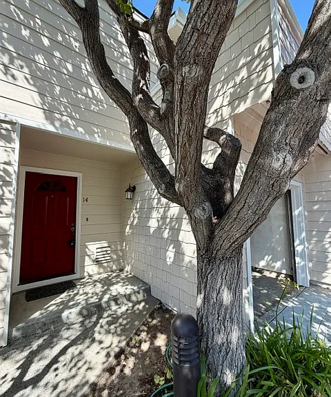 173 Sierra Vista Ave #14 — Photo 1