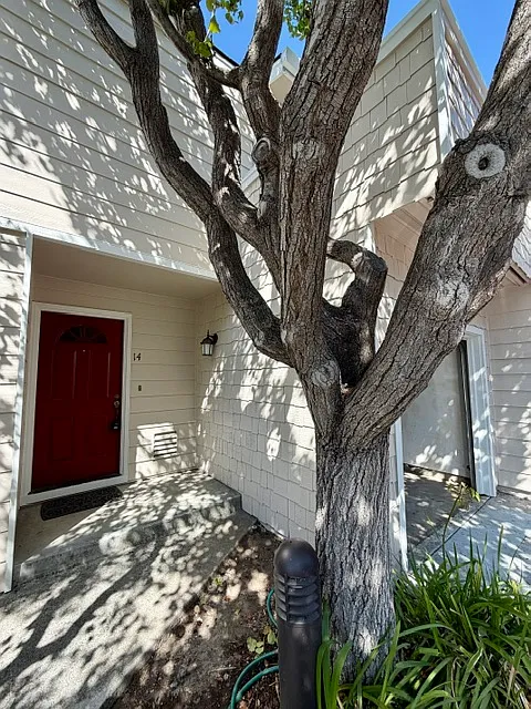 173 Sierra Vista Ave #14