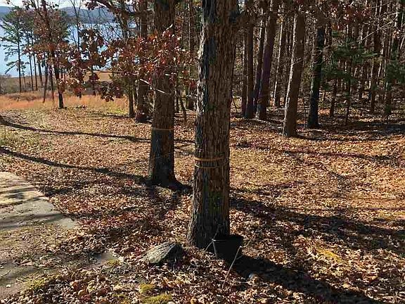 3rd image of 222 Lakeside Dr