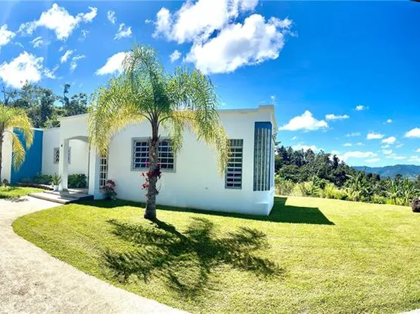 (undisclosed Address), Cayey, PR 00736