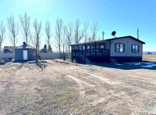 10084 5880th Rd, Montrose, CO 81403