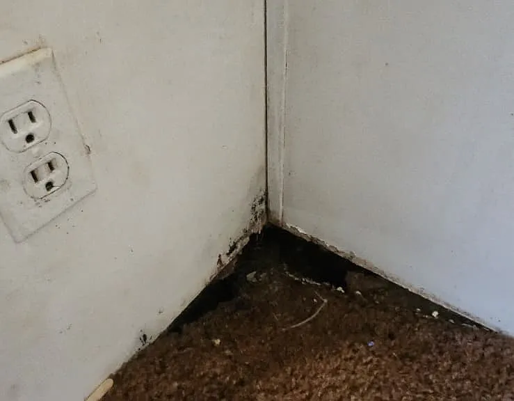 8364 Cedar St #5 — Photo 35