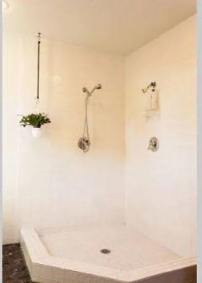 Master Suite Shower