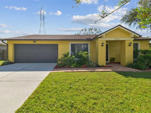 16203 Sawgrass Cir, Tampa, FL 33624
