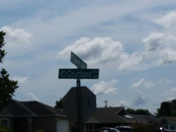 5th image of 172 Courtland Blvd