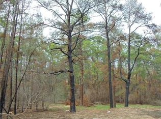 116 Mamalu Dr, Bastrop, TX 78602