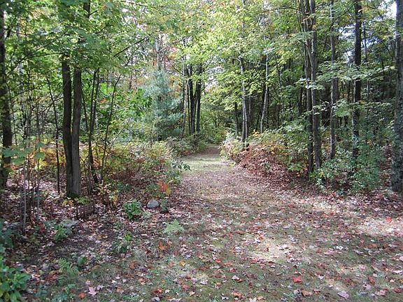 3rd image of 5961 Austrian Pine Ln