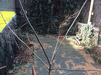 Rented by Peter Jacob, LREB