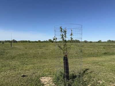 3 Wild West Pl, Belle Fourche, SD, 57717