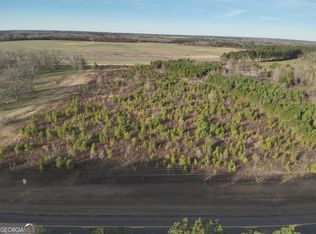 4 N County Line Rd, Elko, GA 31025