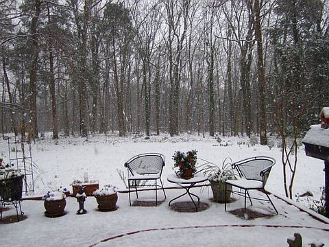 5th image of 6549 Rosemary Ln