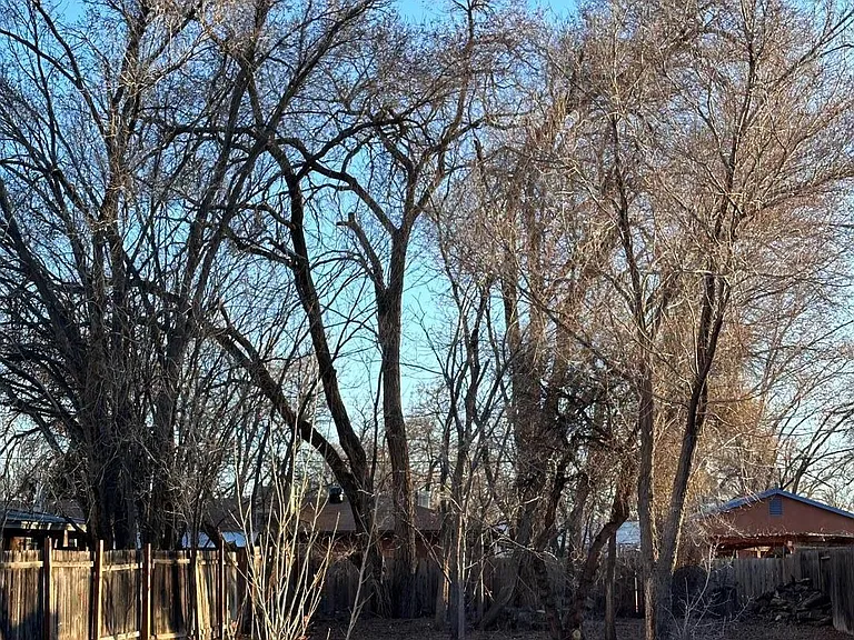2202 Rosendo Garcia Rd SW — Photo 12