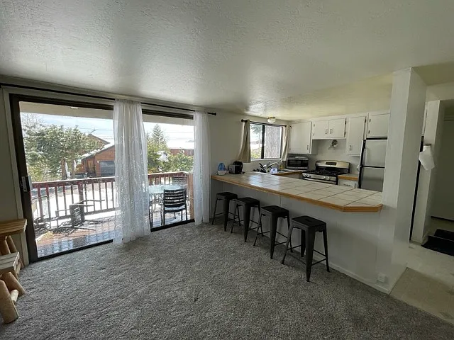 280 Tahoe Woods Blvd #1 — Photo 3