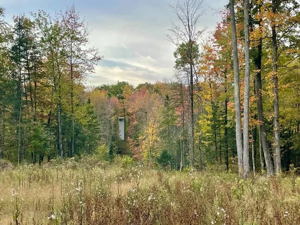 39.76 Acres COUNTY ROAD Z, Birnamwood, WI 54414