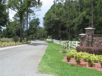 24880 Bonsmara Dr, Groveland, FL, 34736