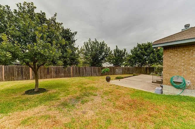 910 Wild Petunia Way — Photo 11