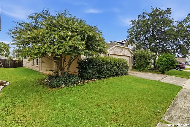 25537 Gold Yarrow — Photo 3