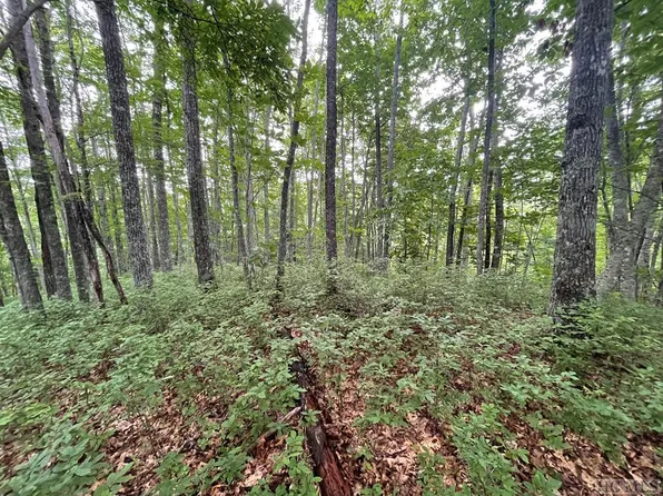 D53 Rye Mountain Drive, Cashiers, NC 28736