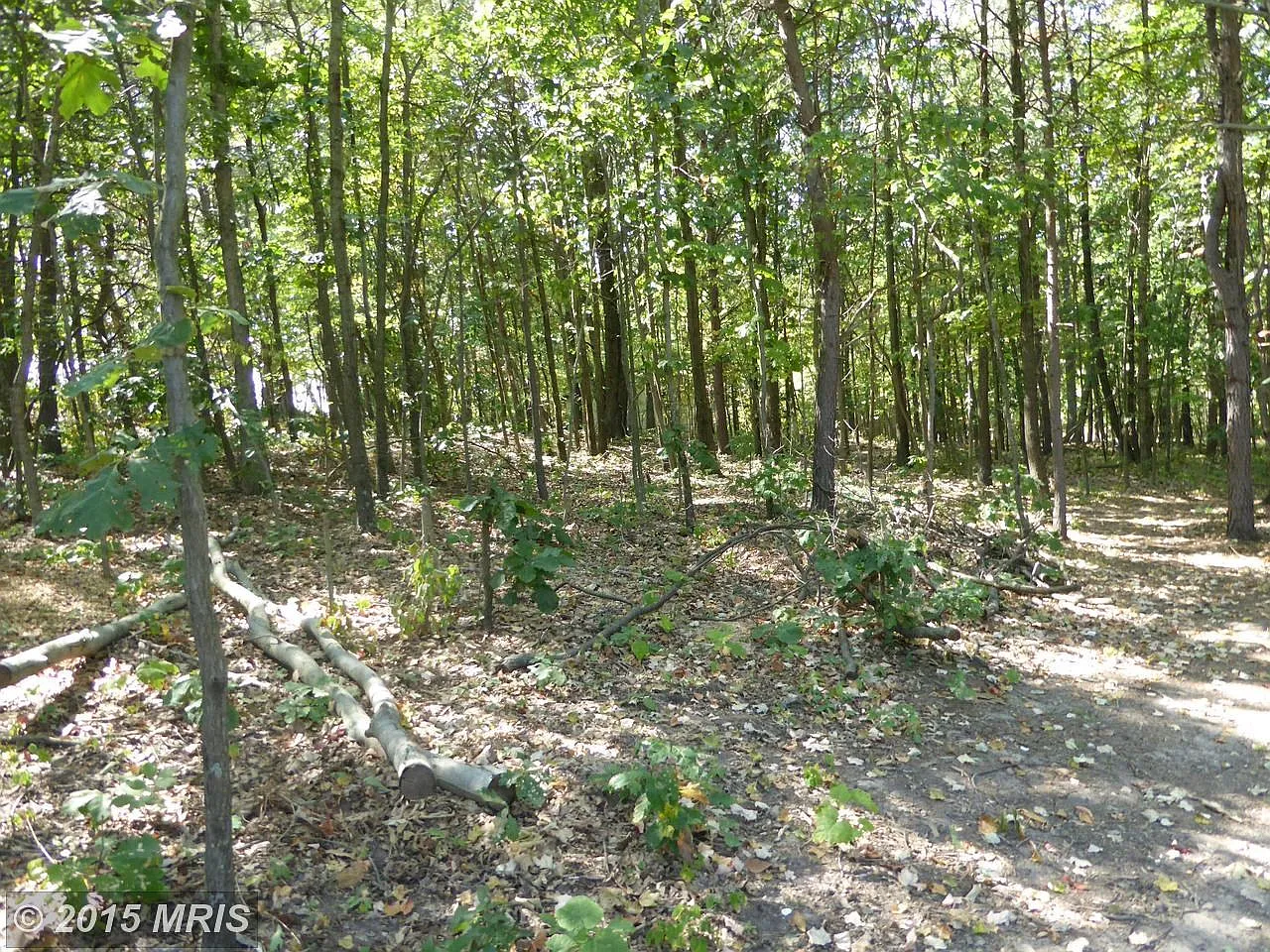 135 Dunmore Ridge Rd photo 1