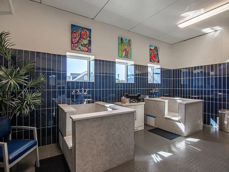 The Earl Apartments Animal Wash