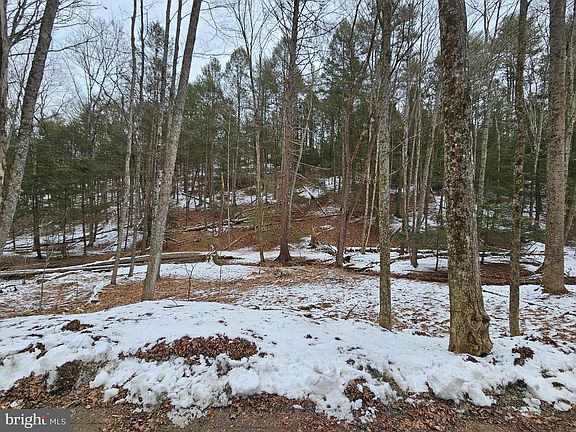 2nd image of 0 Spriggle Hollow Rd