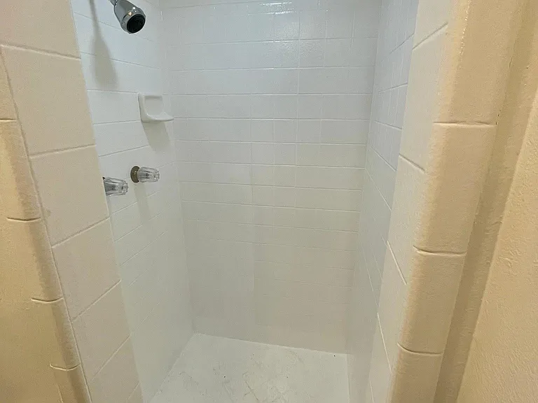 Primary suite shower