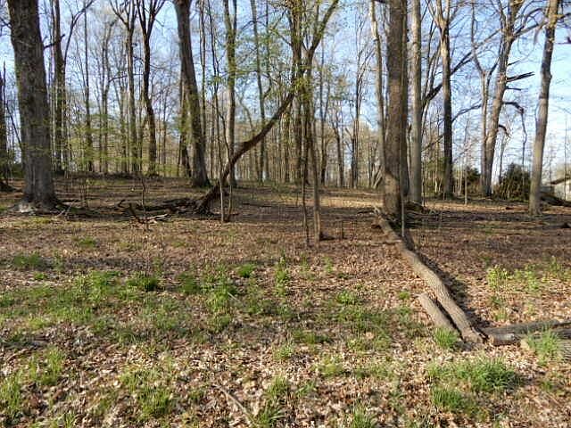 2nd image of 38 Ridgeview Ct