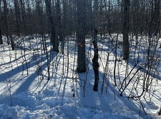 0 Mountain Tom Rd, Springfield Center, NY 13468