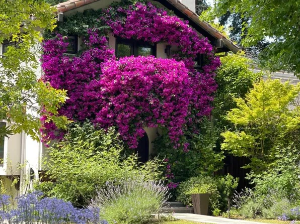 850 Guinda St, Palo Alto, CA 94301