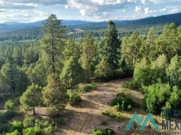 Owl 1 Blue Spruce, Chama, NM 87520