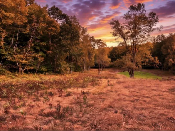 135th Ave, Leroy, MI 49655