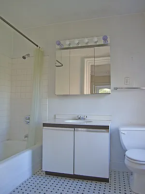 Rented by Brooklyn Heights Real Estate Inc | media 14