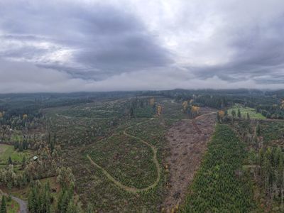 Mountain Home Dr, Lebanon, OR, 97355