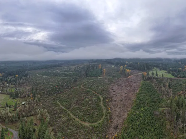 Mountain Home Dr, Lebanon, OR 97355