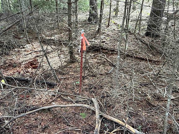 2nd image of Nka Eagle Ridge Way