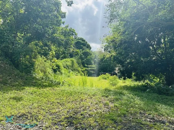 5 Calle Pepe Torres, Bayamon, PR 00956