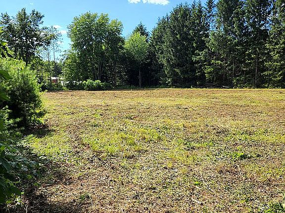 Back half of lot