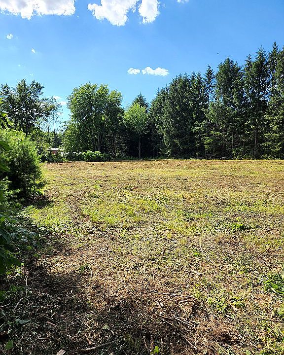 Back half of lot