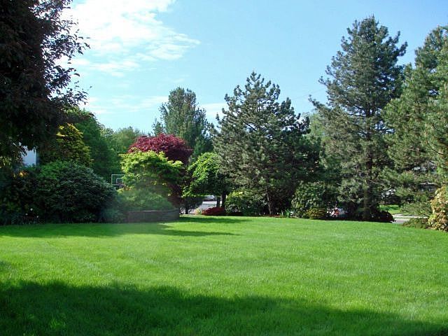 Side Yard