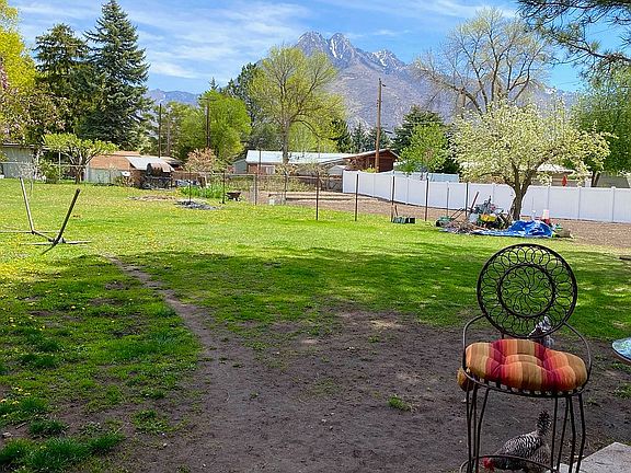 view from patio & new fence