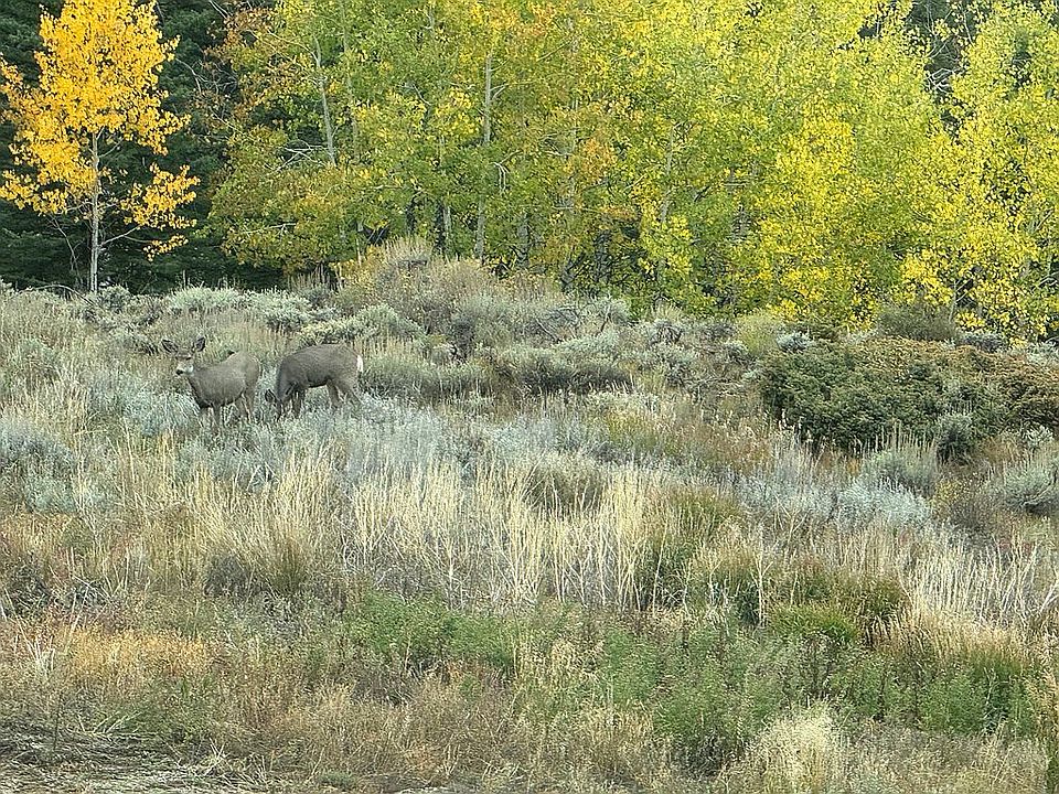 1st image of 11501 Hwy 134