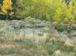 11501 Hwy 134, Kremmling, CO 80459