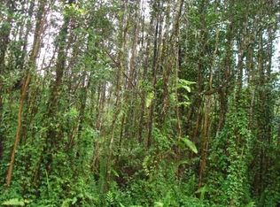Pahoa Rd LOT 761, Pahoa, HI 96778
