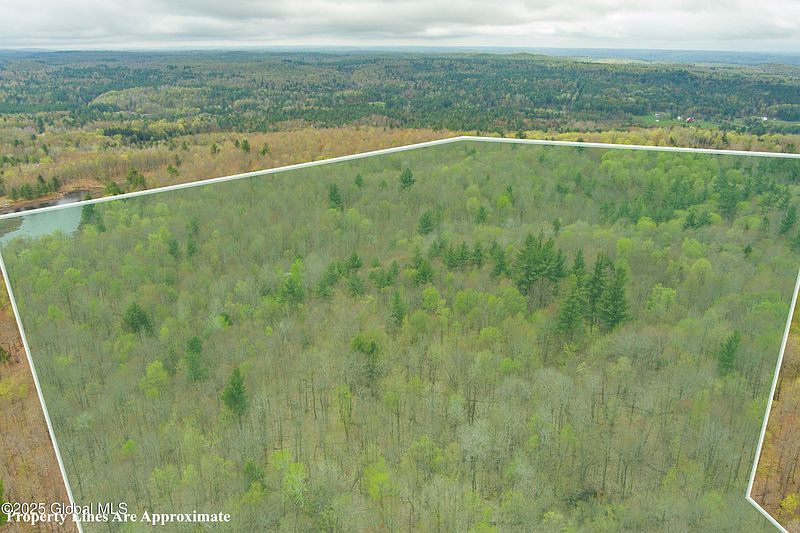 3rd image of L47 Boyd Pond Road