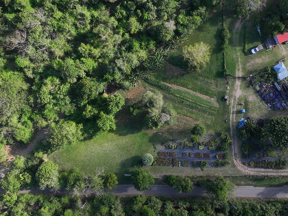 1st image of 8-4-1-B Carolina